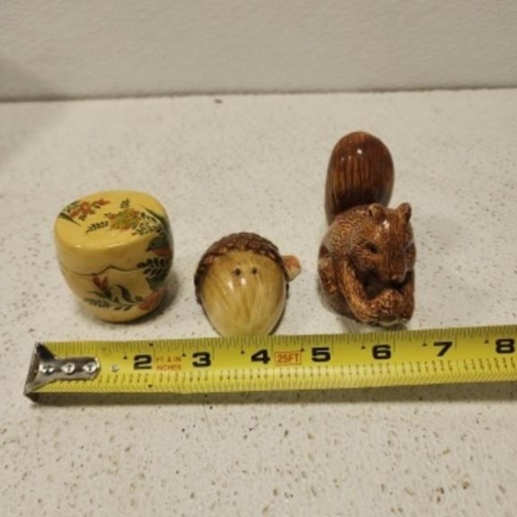 Fall Decor Salt Pepper Shakers Treasure Box Autumn Home Kitchen Squirrel Acorn - Picture 2 of 14